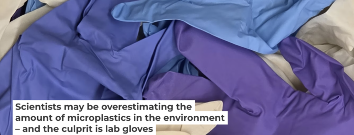 Gloves used in the laboratory that led to microplastic overestimation. Madeline Clough